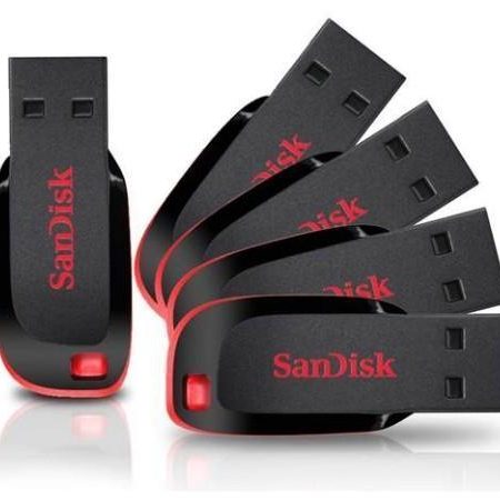 Sandisk. Sandisk.